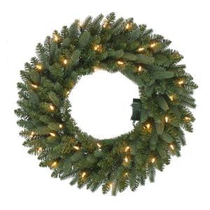 24 in. Pre-Lit B/O LED New Meadow Artificial Christmas Wreath x 225 Tips with 35 Warm White Lights and Timer