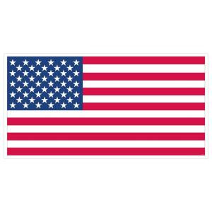 33.5 in x 65 in. Giant American Flag Banner (5-Pack)