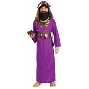 Boy's Purple Wiseman Costume