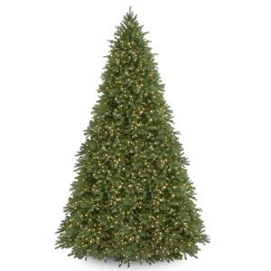 12 ft. Jersey Fraser Fir Tree with Clear Lights