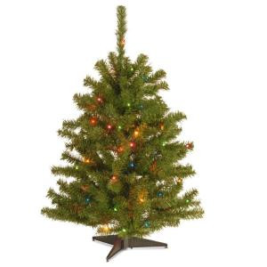 Eastern Spruce 3 ft. Artificial Christmas Tree with 50 Multi-Color Lights