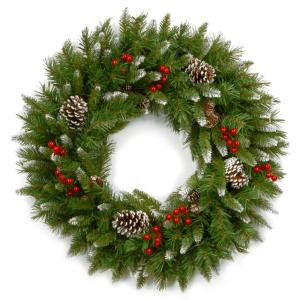 Frosted Berry 24 in. Artificial Wreath