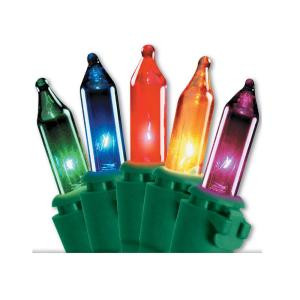 Incandescent Multicolor 50 Bulb Light String Set