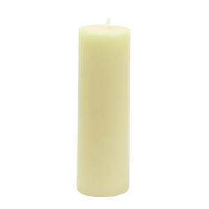 2 in. x 6 in. Ivory Pillar Candle Bulk (24-Piece)