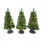 3 ft. Pre-Lit LED Colorado Spruce Artificial Pathway Trees with Warm White Lights (3-Piece)