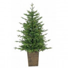 4 ft. Pre-Lit LED Potted Natural Cut Freeport Pine Artificial Christmas Tree with Micro Lights
