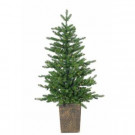 4 ft. Pre-Lit Potted LED Artificial Christmas Akron Pine Tree with Micro Lights