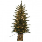 4.5 ft. Pre-Lit Balsam PE Potted Tree with Lights