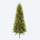 6-1/2 ft PreLit Slim Washington Valley Spruce Christmas Tree with 400 Warm White LED Lights