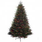 7 ft. Pre-lit Incandescent Douglas Fir Premier Artificial Christmas Tree with 800 UL Multi Lights