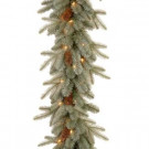 9 ft. Frosted Arctic Spruce Garland with Clear Lights
