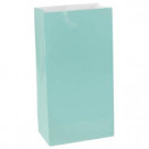 6.5 in. x 3in. Robin's Egg Blue Mini Paper Bags (12-Count, 9-Pack)