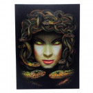 15 in. x 20 in. Medusa LED Canvas with Sound