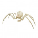 17 in. Animated Shaking Skeleton Spider with LED Eyes