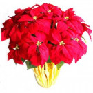 28 in. Extra Large Red Silk Poinsettia Arrangement (Case of 2)