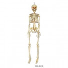 36 in. Hanging Skeleton with LED Illumination