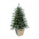 4 ft. Pre-Lit Balsam Artificial Christmas Porch Tree with Battery Operated Warm White LED light and Wood Pot