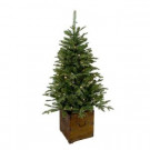 4 ft. Pre-Lit Frasier Artificial Christmas Porch Tree with Warm White Battery Operated LED Light and Wood Pot