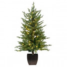 4 ft. Pre-Lit Warm White LED Potted Artificial Christmas Tree (Set of 2)