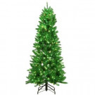 6 ft. Pre-Lit Shiny Green Fraser with Warm White and Green Color-Changing LED Lights