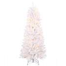 6 ft. Pre-Lit White Fraser with Warm White and Multi-Color-Changing LED Lights