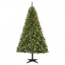 6.5 ft. Pre-Lit LED Greenville Spruce Artificial Christmas Tree with Warm White Lights