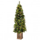 6.5 ft. Pre-Lit Warm White LED Potted Artificial Christmas Tree