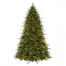 9 ft. Pre-Lit LED Royal Spruce Artificial Christmas Tree with Warm White Lights