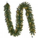 9 ft. Pre-Lit LED Sierra Nevada Garland with Warm White Lights
