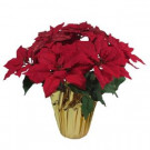 Christmas 21 in. Red Glittered Poinsettia in Foil Pot