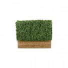 Hamptons 4 ft. Hedge Topiary