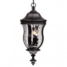 3-Light Outdoor Hanging Black Lantern with Clear Watered Glass