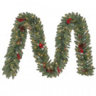 12 ft. Winslow Artificial Garland with 100 Clear Lights