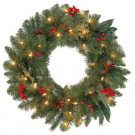24 in. Pre-Lit Winslow Fir Wreath with Clear Lights