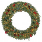 48 in. Pre-Lit Winslow Fir Artificial Christmas Wreath with Clear Lights