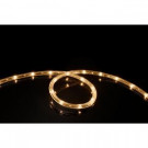 16 ft. Soft White All Occasion Indoor Outdoor LED 1/4 in. Rope Light 360° Directional Shine Decoration (2-Pack)