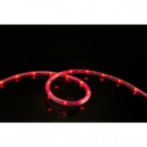 16 ft. Red All Occasion Indoor Outdoor LED Rope Light 360° Directional Shine Decoration