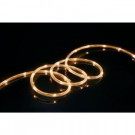16 ft. Soft White All Occasion Indoor Outdoor LED Mini Rope Light Decoration (2-Pack)