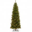 10 ft. North Valley Spruce Pencil Slim Tree with Clear Lights
