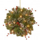 12 in. Glittery Mountain Spruce Kissing Ball with Battery Operated Warm White LED Lights
