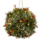 12 in. Wintry Pine Kissing Ball