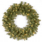 24 in. Downswept Douglas Artificial Wreath with Clear Lights