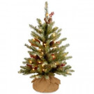 24 in. Dunhill Fir Tree with Battery Operated Warm White LED Lights