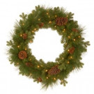 24 in. Eastwood Spruce Artificial Wreath with Battery Operated Warm White LED Lights