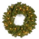 24 in. Kincaid Spruce Artificial Christmas Wreath with Clear Lights