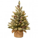 24 in. Snowy Concolor Fir Tree with Battery Operated LED Lights