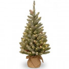 36 in. Snowy Concolor Fir Tree with Battery Operated LED Lights