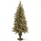 4 ft. Glittery Bristle Entrance Artificial Christmas Tree with Warm White LED Lights