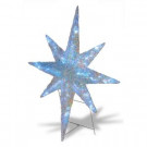 42 in. Ice Crystal Star with LED Lights