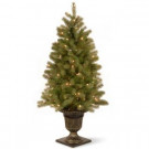 48 in. Downswept Douglas Fir Entrance Tree with Warm White LED Lights